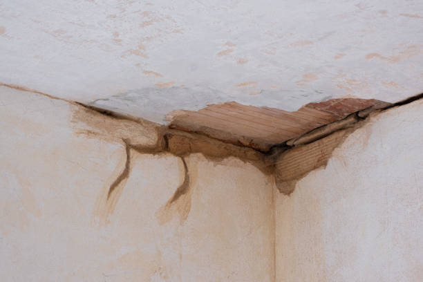 Best Fire Damage Restoration  in Ranchettes, WY
