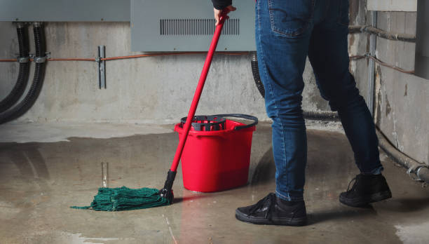 Best Flood damage cleanup  in Ranchettes, WY