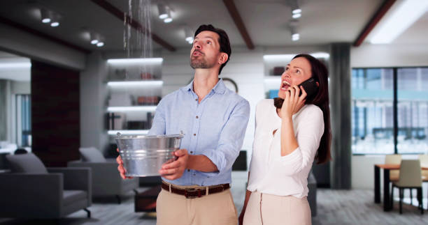 Best Water damage contractors near me  in Ranchettes, WY
